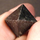 Magnetita
1,5 x 1,5 x 2 cm.
(Autor: Felipe Abolafia)