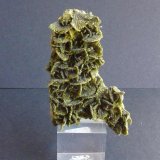 Clinozoisita
5 x 2 cm.
(Autor: javier ruiz martin)