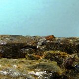 Estaurolita
7,5 x 3 x 2 cm.
(Autor: Felipe Abolafia)