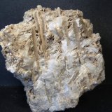 Celestina
7 x 8 x 5 cm.
(Autor: Felipe Abolafia)
