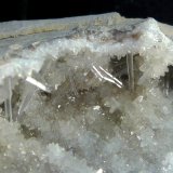 Celestina
7 x 9 x 4 cm.
(Autor: Felipe Abolafia)