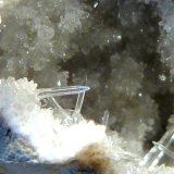 Celestina
7 x 9 x 4 cm.
(Autor: Felipe Abolafia)