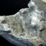 Celestina
7 x 9 x 4 cm.
(Autor: Felipe Abolafia)