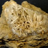 Celestina
8 x 6 x 6 cm.
(Autor: Felipe Abolafia)