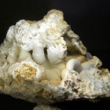 Celestina
6 x 7 x 6 cm.
(Autor: Felipe Abolafia)
