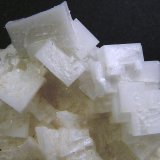 Halita
7 x 8,5 x 3 cm.
(Autor: Felipe Abolafia)