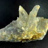 Yeso
14 x 6 x 4 cm.
(Autor: Felipe Abolafia)