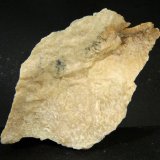 Sepiolita
7 x 12 x 4 cm.
(Autor: Felipe Abolafia)