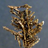 Plata
10 x 15 x 2 mm.
(Autor: Felipe Abolafia)