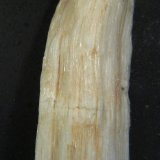 Yeso fibroso
4 x 7,5 x 3 cm.
(Autor: Felipe Abolafia)