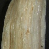 Yeso fibroso
4 x 7,5 x 3 cm.
(Autor: Felipe Abolafia)