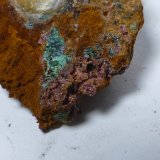 Eritrina
Encuadre 3x2cm aprox.
(Autor: heat00)