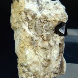 Cuarzo (variedad morión)
2,5 x 5,5 x 2 cm.
(Autor: Felipe Abolafia)