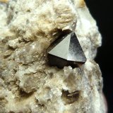 Cuarzo (variedad morión)
2,5 x 5,5 x 2 cm.
(Autor: Felipe Abolafia)