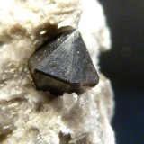 Cuarzo (variedad morión)
2,5 x 5,5 x 2 cm.
(Autor: Felipe Abolafia)