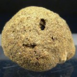 Pirita
2,5 cm. de diámetro
(Autor: Felipe Abolafia)