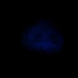 Fluorita
2,5x2cm
(Autor: Eloi)