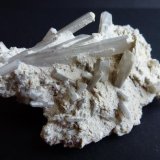 Celestina
7 x 4 cm.
(Autor: javier ruiz martin)