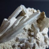 Celestina
7 x 4 cm
(Autor: javier ruiz martin)