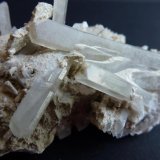 Celestina
7 x 4 cm
(Autor: javier ruiz martin)