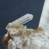 Celestina
7 x 4 cm
(Autor: javier ruiz martin)