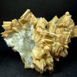Celestina
9 x 6 x 3,5 cm.
(Autor: Felipe Abolafia)