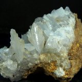 Celestina
8 x 6 x 3,5 cm.
(Autor: Felipe Abolafia)