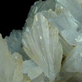 Celestina
8 x 6 x 3,5 cm.
(Autor: Felipe Abolafia)