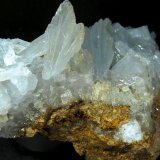 Celestina
8 x 6 x 3,5 cm.
(Autor: Felipe Abolafia)
