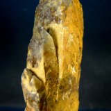 Celestina
4,5 x 2,5 x 8 cm.
(Autor: Felipe Abolafia)