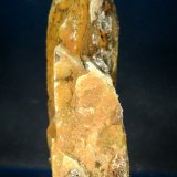 Celestina
4,5 x 2,5 x 8 cm.
(Autor: Felipe Abolafia)