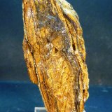 Alofana
4,5 x 7,5 x 3 cm.
(Autor: Felipe Abolafia)