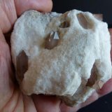 Cuarzo en Yeso
8 x 6 cm.
(Autor: javier ruiz martin)