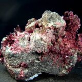 Eritrina
5 x 3,5 x 3 cm.
(Autor: Felipe Abolafia)