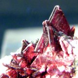 Eritrina
5 x 3,5 x 3 cm.
(Autor: Felipe Abolafia)