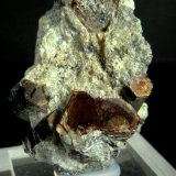 Flogopita (Grupo Mica)
4 x 2,5 x 2 cm.
(Autor: Felipe Abolafia)