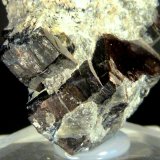 Flogopita (Grupo Mica)
4 x 2,5 x 2 cm.
(Autor: Felipe Abolafia)