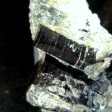 Flogopita (Grupo Mica)
4 x 2,5 x 2 cm.
(Autor: Felipe Abolafia)