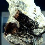 Flogopita (Grupo Mica)
4 x 2,5 x 2 cm.
(Autor: Felipe Abolafia)