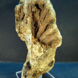Estibiconita
11,5 x 6 x 5 cm.
(Autor: Felipe Abolafia)