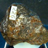 Hierro [Iron] - Níquel [Nickel]
4 x 4 x 1,5 cm.
(Autor: Felipe Abolafia)