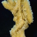 Yeso
12 x 7 x 4 cm.
(Autor: Felipe Abolafia)