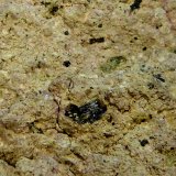 Andesita con hornblenda
10 x 7 x 5 cm.
(Autor: Felipe Abolafia)