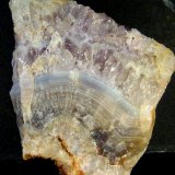 Cuarzo (variedad amatista)
5 x 6,5 x 4 cm.
(Autor: Felipe Abolafia)