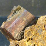 Goethita pseud. pirita y limonita
4,5 x 4 x 3 cm.
(Autor: Felipe Abolafia)
