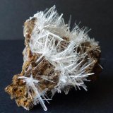 Yeso
5,5  x 4 cm.
(Autor: javier ruiz martin)
