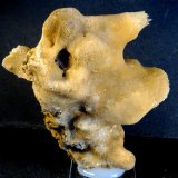 Calcita
7 x 5 x 2,5 cm.
(Autor: Felipe Abolafia)