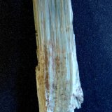 Serpentina
7,5 x 1 x 0,5 cm.
(Autor: Felipe Abolafia)