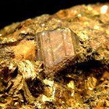 Casiterita
5 x 5 mm.
(Autor: Felipe Abolafia)