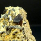 Cuarzo (variedad morión)
Cristal de 5 x 4 mm.
(Autor: Felipe Abolafia)